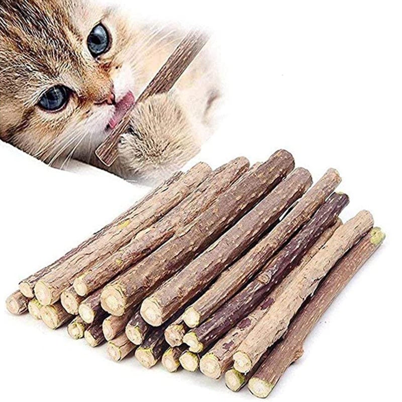 Ueerdand 10 PCS Catnip Sticks Organic Cat Chew Toys Natural Plant Matatabi Silvervine Chew Sticks Teeth Cleaning Chew Toy Kitten Kitty - Image 1